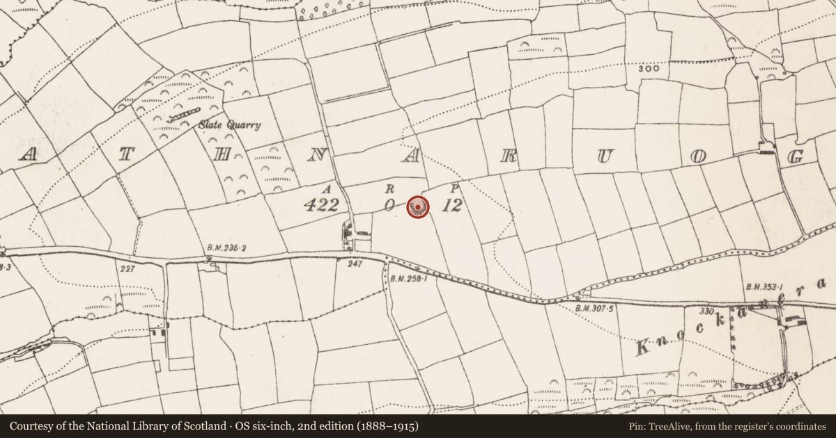 Ordnance Survey six-inch map, 2nd edition (1888–1915) covering the location of Ringfort - rath, Rathnaruogy, County Cork, with a pin at the register's coordinates