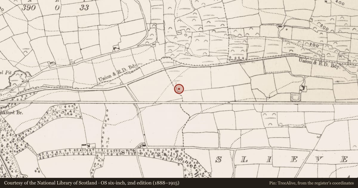 Ordnance Survey six-inch map, 2nd edition (1888–1915) covering the location of Moated site, Slievegallane, County Cork, with a pin at the register's coordinates