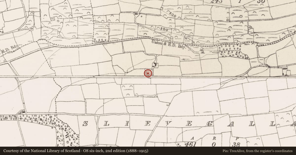 Ordnance Survey six-inch map, 2nd edition (1888–1915) covering the location of Moated site, Slievegallane, County Cork, with a pin at the register's coordinates