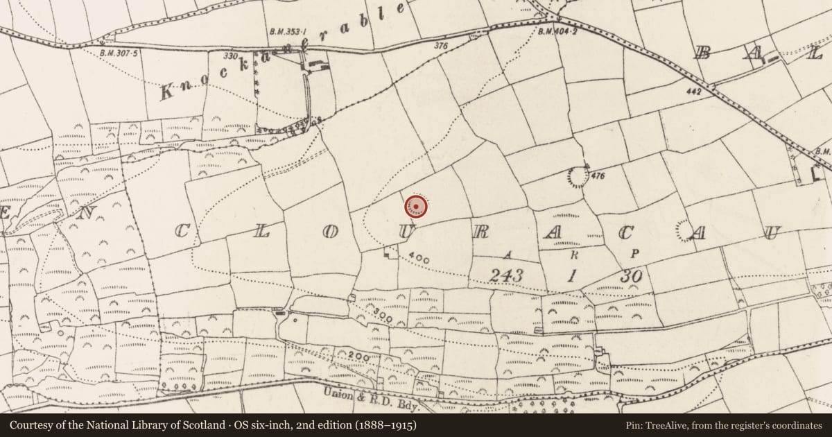 Ordnance Survey six-inch map, 2nd edition (1888–1915) covering the location of Ringfort - rath, Clouracaun, County Cork, with a pin at the register's coordinates
