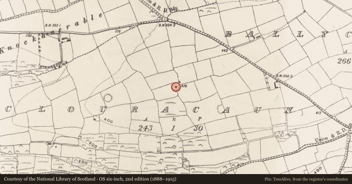 Ordnance Survey six-inch map, 2nd edition (1888–1915) covering the location of Ringfort - rath, Clouracaun, County Cork, with a pin at the register's coordinates