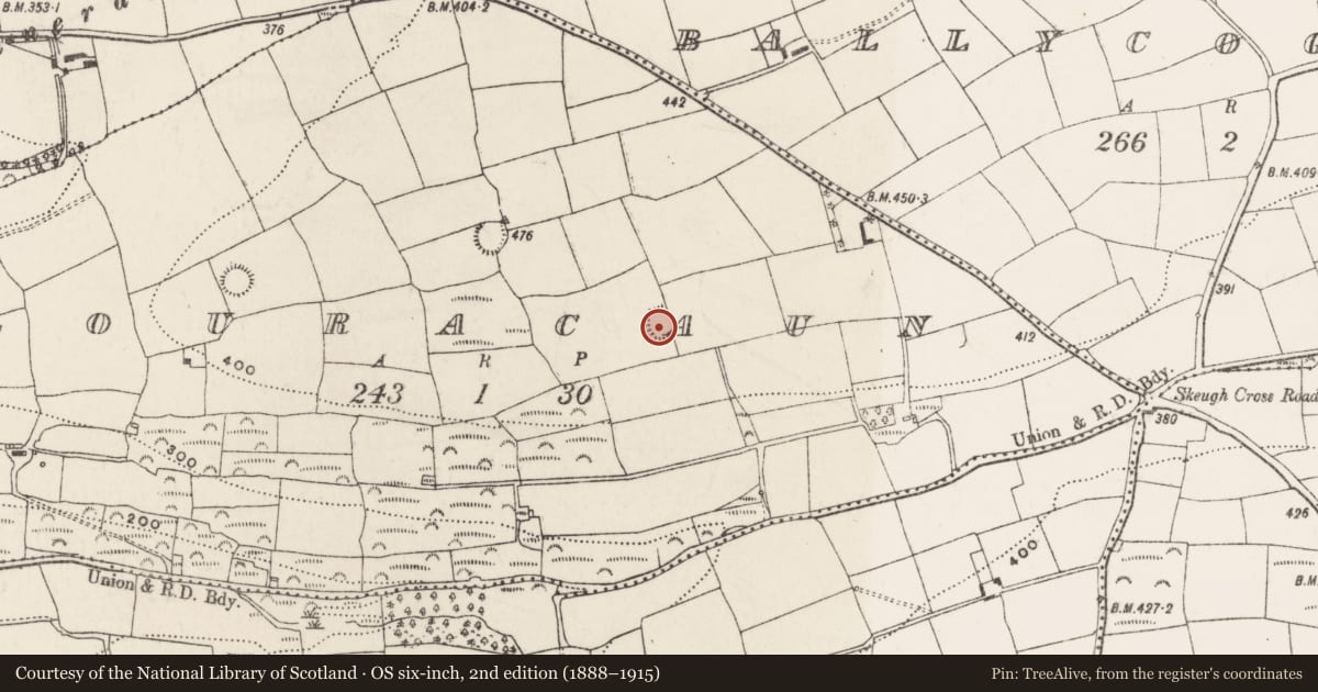 Ordnance Survey six-inch map, 2nd edition (1888–1915) covering the location of Ringfort - rath, Clouracaun, County Cork, with a pin at the register's coordinates