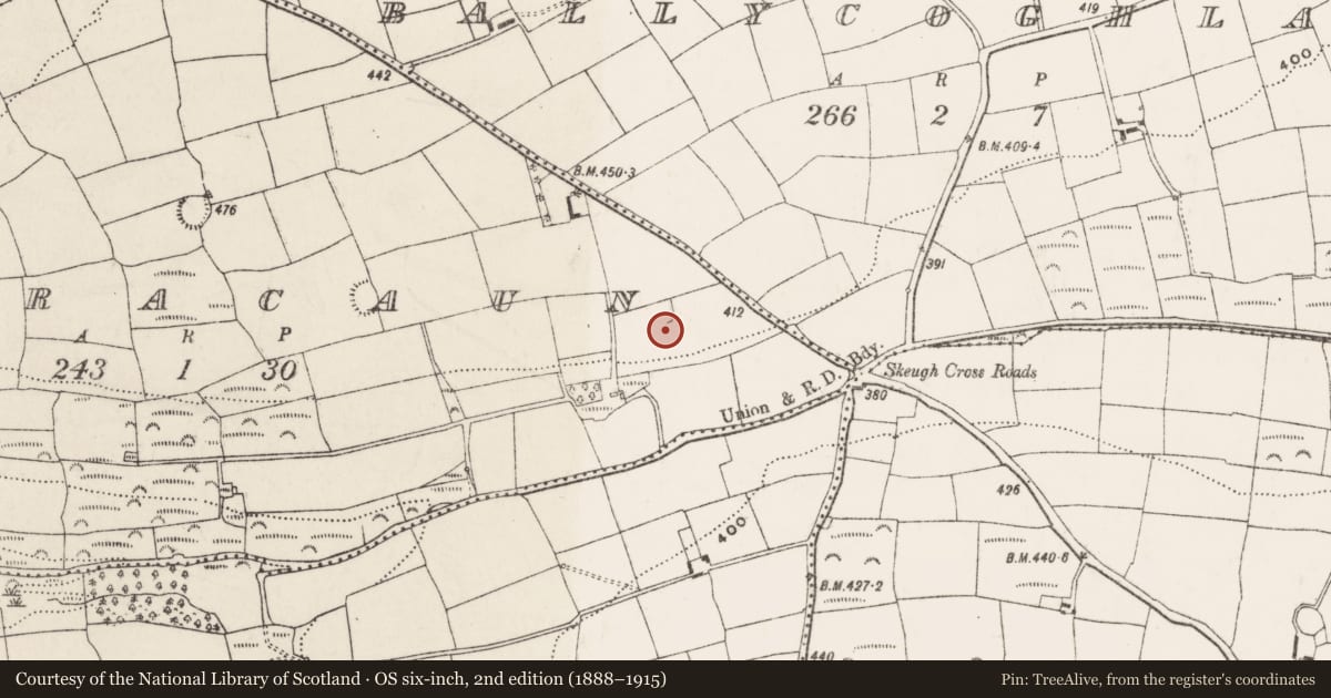 Ordnance Survey six-inch map, 2nd edition (1888–1915) covering the location of Earthwork, Clouracaun, County Cork, with a pin at the register's coordinates