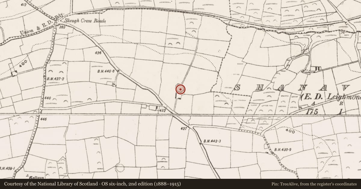 Ordnance Survey six-inch map, 2nd edition (1888–1915) covering the location of Ringfort - rath, Derrynagasha, County Cork, with a pin at the register's coordinates