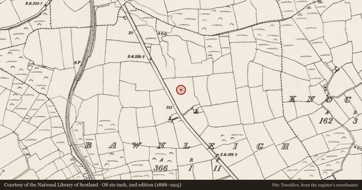 Ordnance Survey six-inch map, 2nd edition (1888–1915) covering the location of Standing stone, Bawnleigh, County Cork, with a pin at the register's coordinates