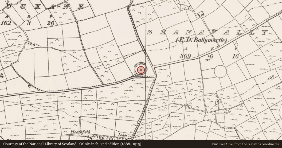 Ordnance Survey six-inch map, 2nd edition (1888–1915) covering the location of Ringfort - rath, Arlinstown, County Cork, with a pin at the register's coordinates