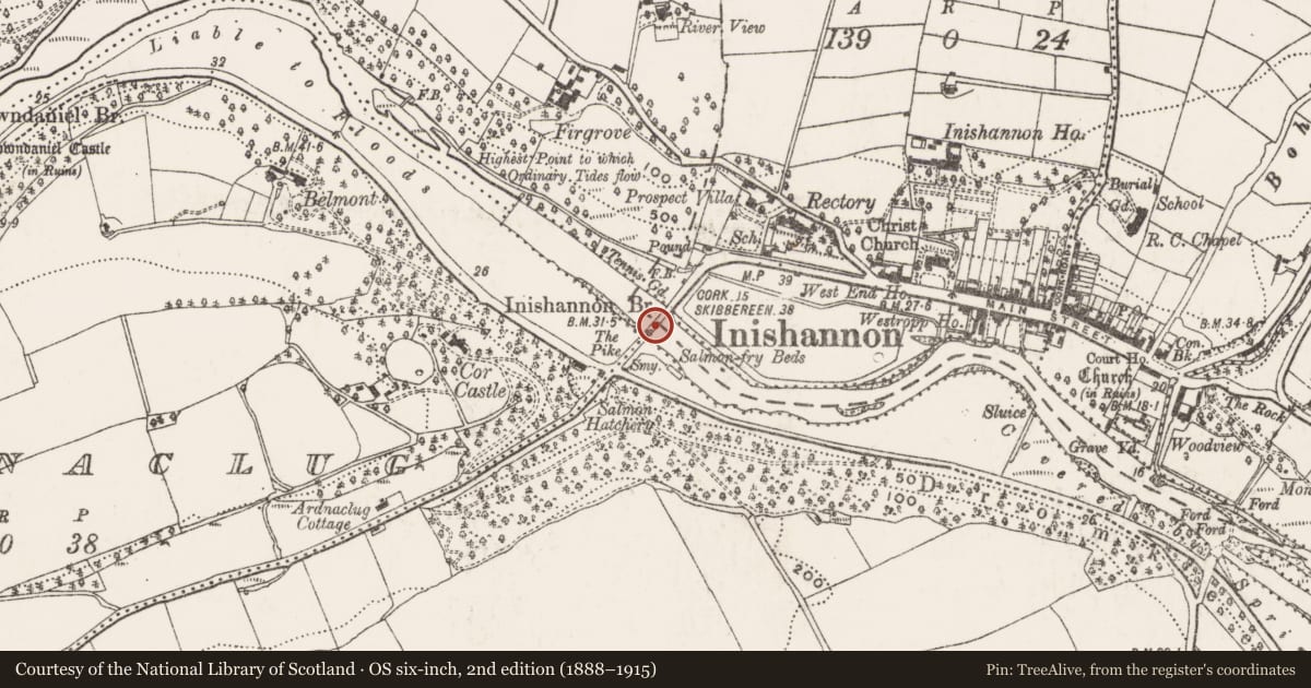 Ordnance Survey six-inch map, 2nd edition (1888–1915) covering the location of Bridge, County Cork, with a pin at the register's coordinates