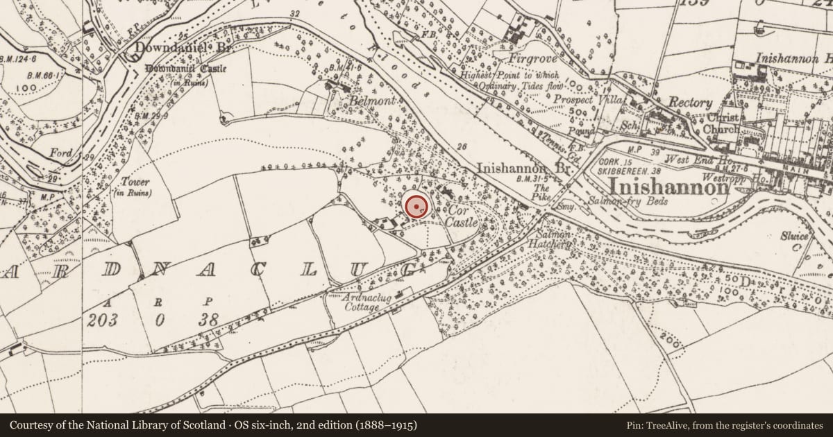 Ordnance Survey six-inch map, 2nd edition (1888–1915) covering the location of Enclosure, Ardnaclug, County Cork, with a pin at the register's coordinates