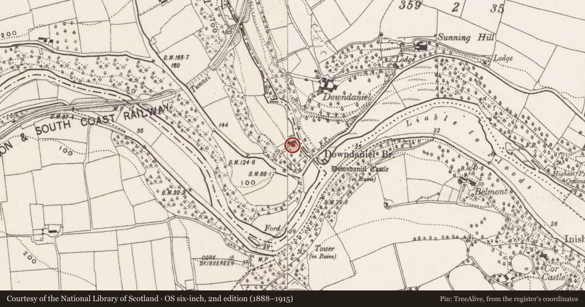 Ordnance Survey six-inch map, 2nd edition (1888–1915) covering the location of Inscribed stone, Kilpatrick, County Cork, with a pin at the register's coordinates