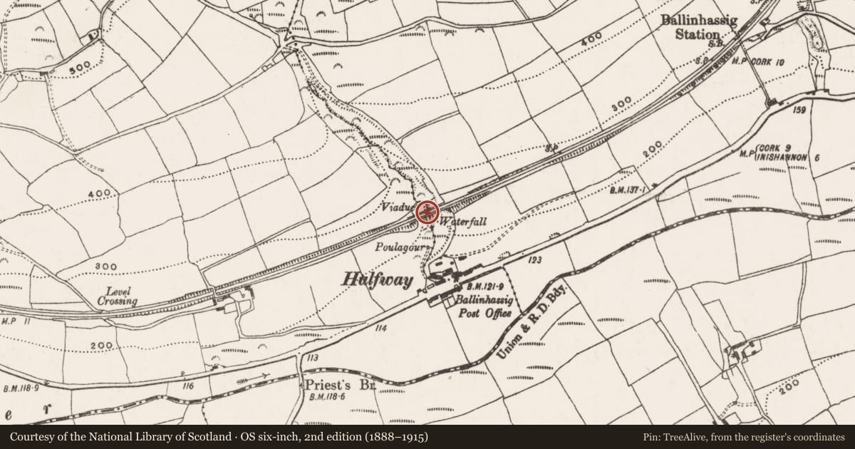 Ordnance Survey six-inch map, 2nd edition (1888–1915) covering the location of Railway bridge, Ballyhooleen, Gogganshill, County Cork, with a pin at the register's coordinates