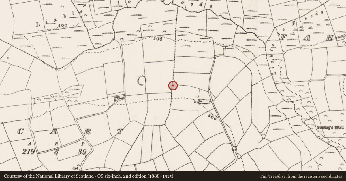 Ordnance Survey six-inch map, 2nd edition (1888–1915) covering the location of Burnt mound, Arlinstown, County Cork, with a pin at the register's coordinates