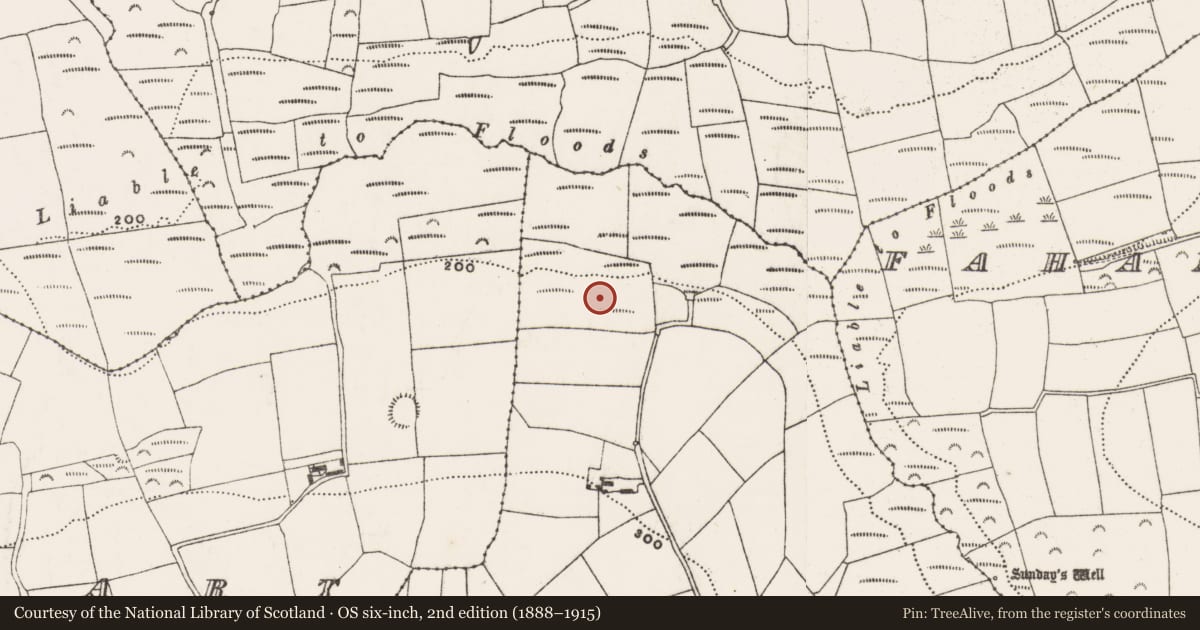 Ordnance Survey six-inch map, 2nd edition (1888–1915) covering the location of Burnt mound, Arlinstown, County Cork, with a pin at the register's coordinates