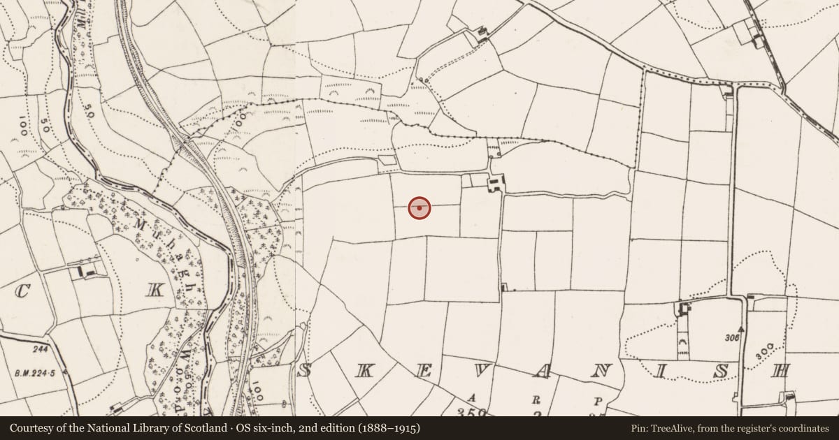 Ordnance Survey six-inch map, 2nd edition (1888–1915) covering the location of Souterrain, Skevanish, County Cork, with a pin at the register's coordinates