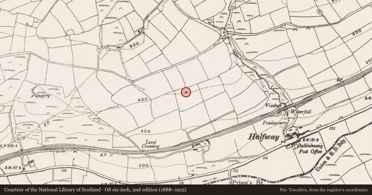 Ordnance Survey six-inch map, 2nd edition (1888–1915) covering the location of Enclosure, Ballyhooleen, County Cork, with a pin at the register's coordinates