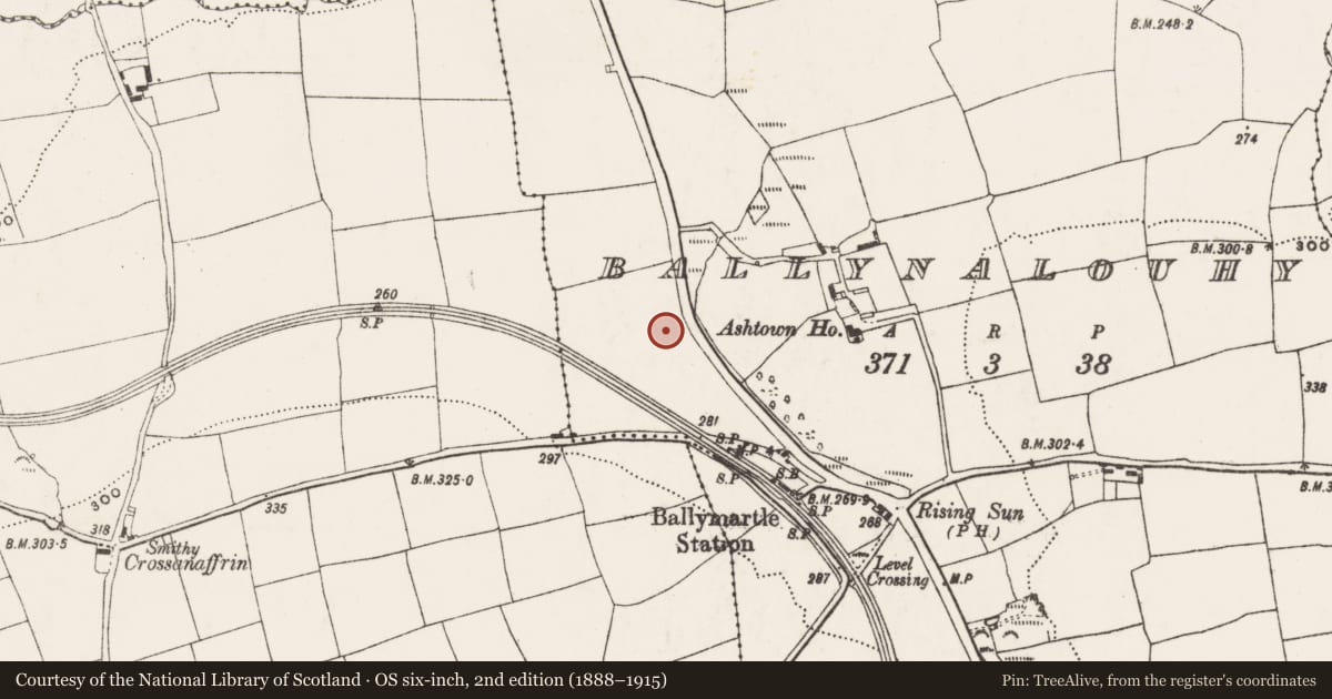 Ordnance Survey six-inch map, 2nd edition (1888–1915) covering the location of Fulacht fia, Ballynalouhy, County Cork, with a pin at the register's coordinates