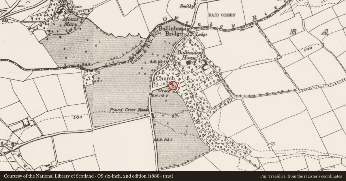 Ordnance Survey six-inch map, 2nd edition (1888–1915) covering the location of Graveyard, Ballinaboy, County Cork, with a pin at the register's coordinates