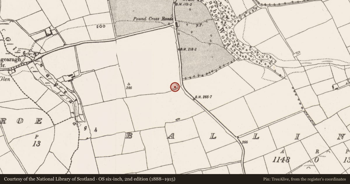 Ordnance Survey six-inch map, 2nd edition (1888–1915) covering the location of Enclosure, Ballinaboy, County Cork, with a pin at the register's coordinates