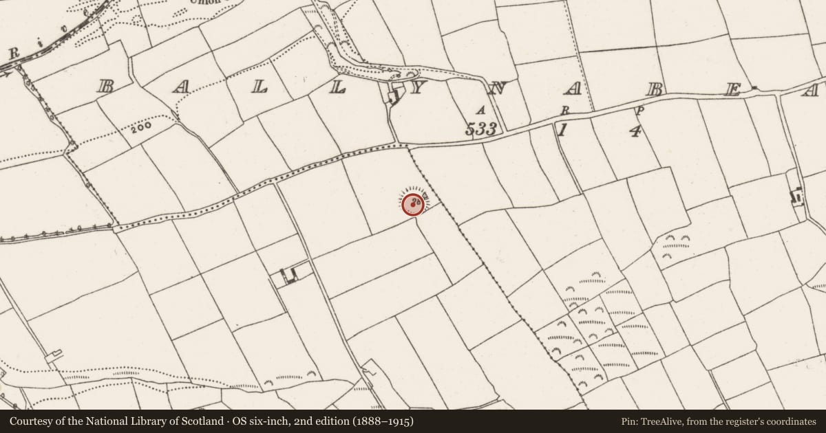 Ordnance Survey six-inch map, 2nd edition (1888–1915) covering the location of Ringfort - rath, Ballinaboy, County Cork, with a pin at the register's coordinates