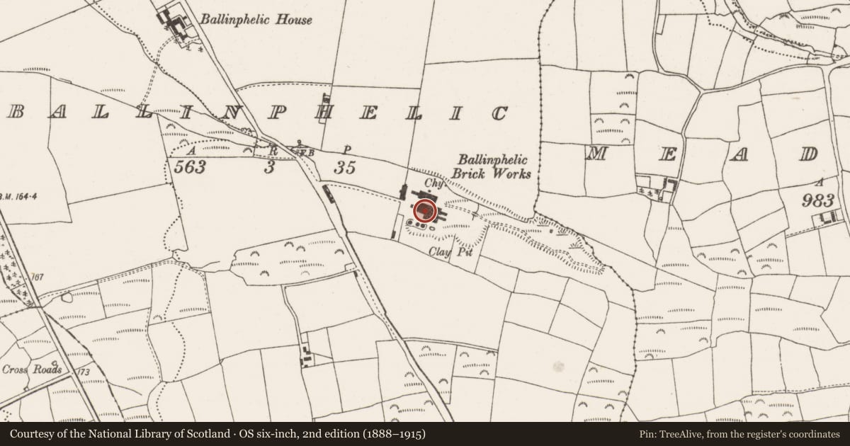 Ordnance Survey six-inch map, 2nd edition (1888–1915) covering the location of Brickworks, Ballinphelic, County Cork, with a pin at the register's coordinates