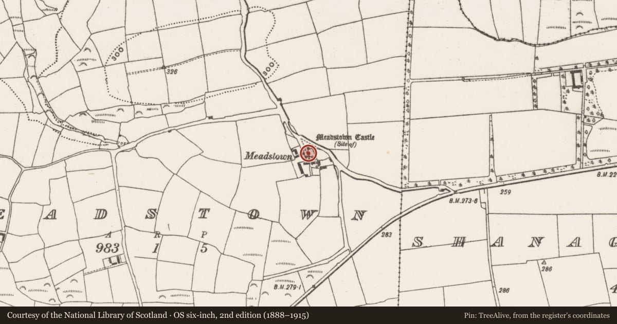 Ordnance Survey six-inch map, 2nd edition (1888–1915) covering the location of Country house, Meadstown, County Cork, with a pin at the register's coordinates