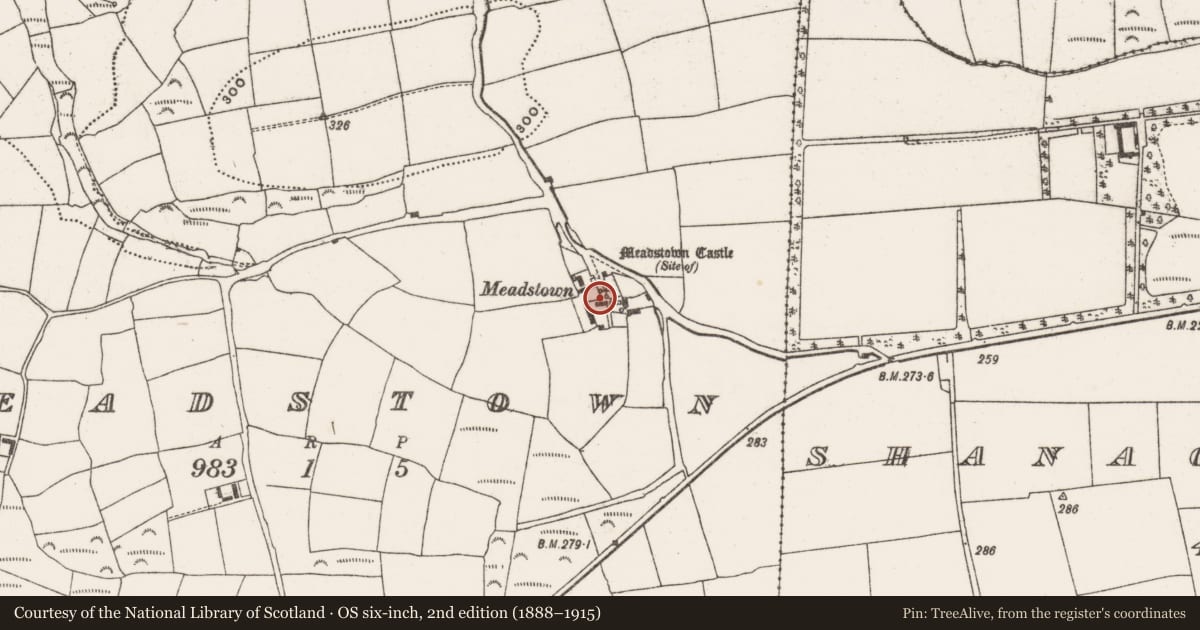 Ordnance Survey six-inch map, 2nd edition (1888–1915) covering the location of Castle - unclassified, Meadstown, County Cork, with a pin at the register's coordinates