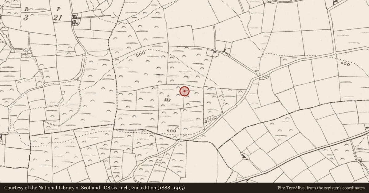 Ordnance Survey six-inch map, 2nd edition (1888–1915) covering the location of Standing stone, Kilmoney, County Cork, with a pin at the register's coordinates