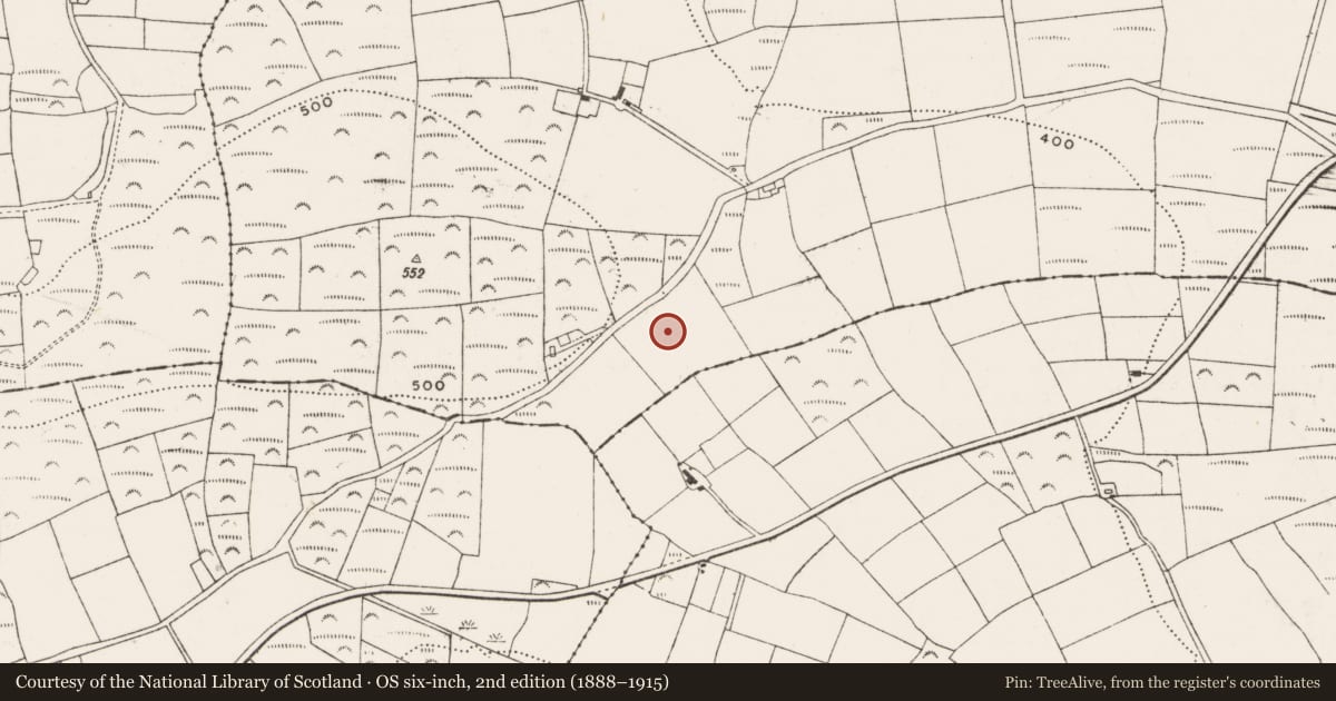 Ordnance Survey six-inch map, 2nd edition (1888–1915) covering the location of Standing stone, Kilmoney, County Cork, with a pin at the register's coordinates