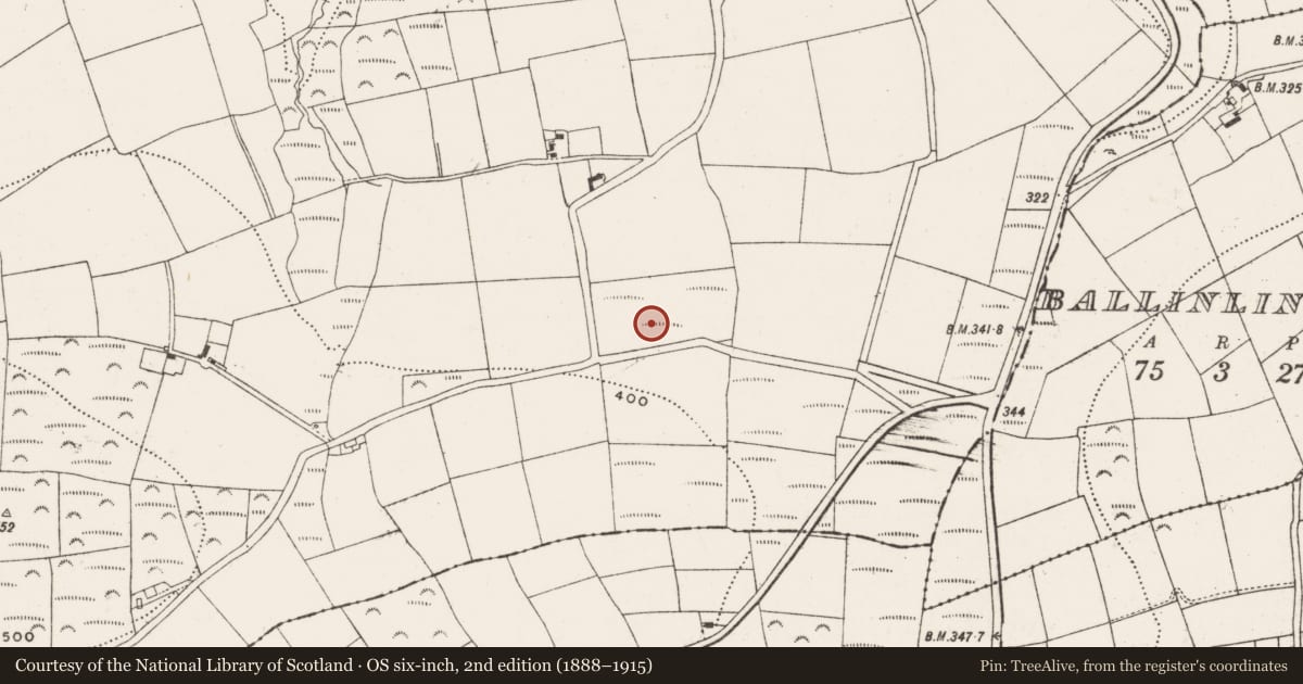 Ordnance Survey six-inch map, 2nd edition (1888–1915) covering the location of Standing stone, Kilmoney, County Cork, with a pin at the register's coordinates
