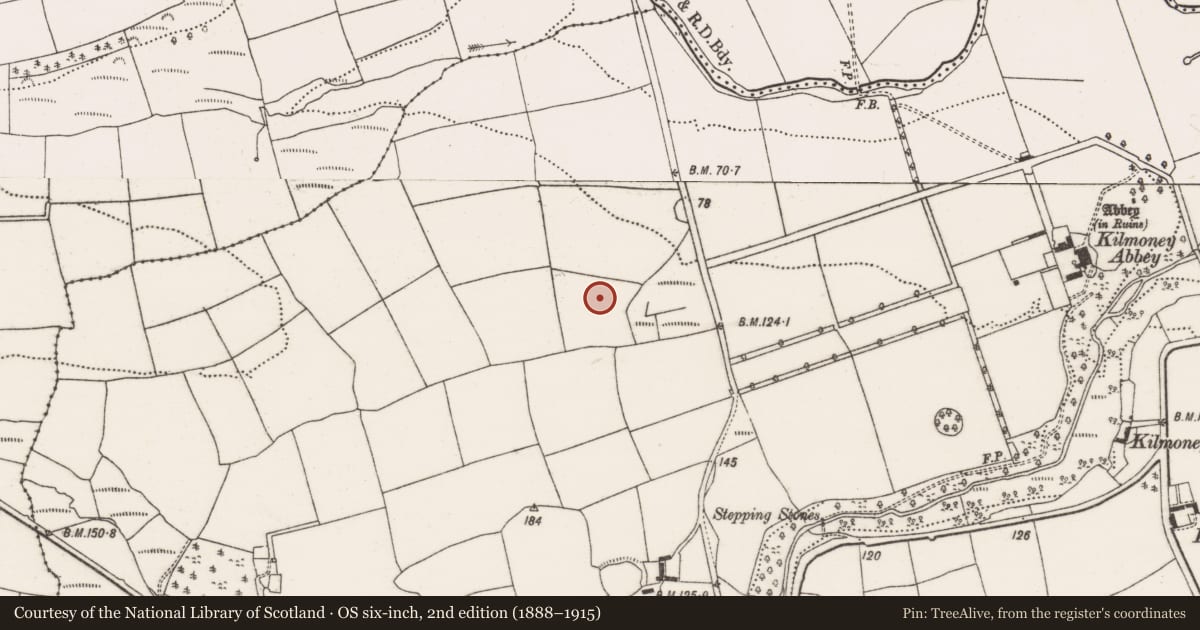 Ordnance Survey six-inch map, 2nd edition (1888–1915) covering the location of Ringfort - rath, Kilmoney, County Cork, with a pin at the register's coordinates