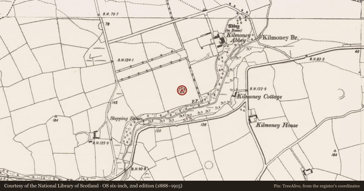 Ordnance Survey six-inch map, 2nd edition (1888–1915) covering the location of Ringfort - rath, Kilmoney, County Cork, with a pin at the register's coordinates