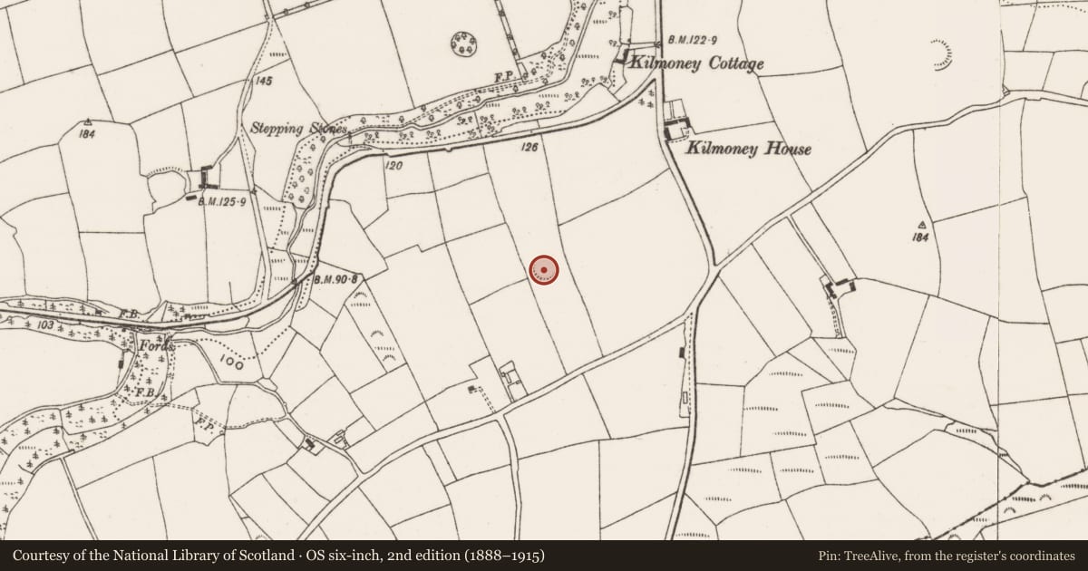 Ordnance Survey six-inch map, 2nd edition (1888–1915) covering the location of Ringfort - rath, Kilmoney, County Cork, with a pin at the register's coordinates