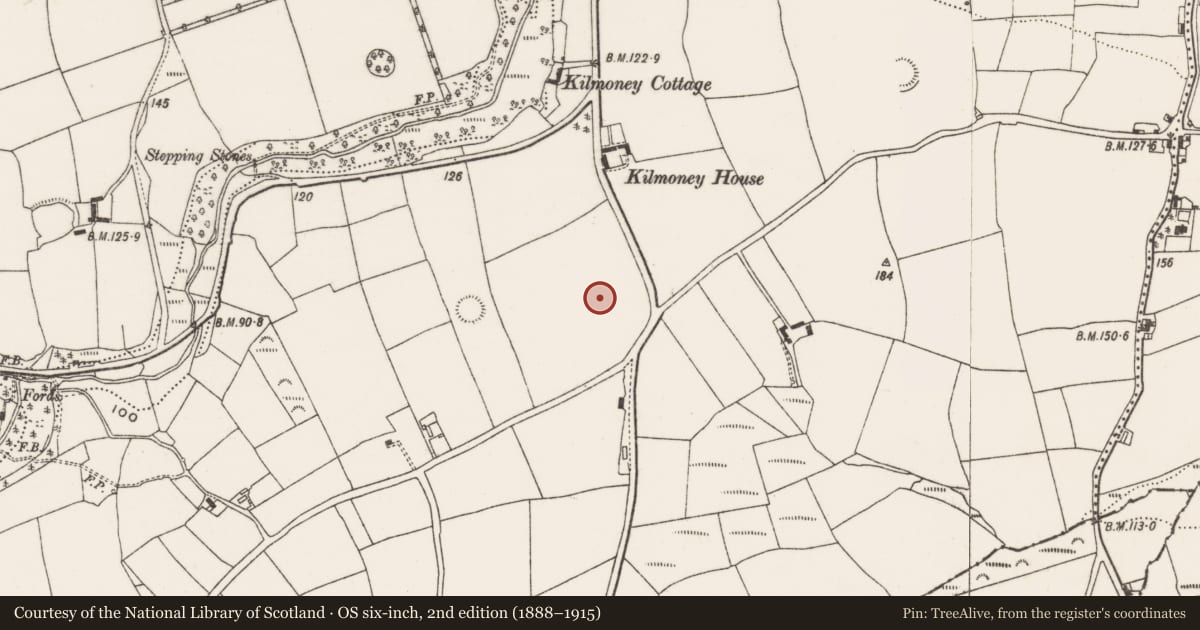 Ordnance Survey six-inch map, 2nd edition (1888–1915) covering the location of Ringfort - rath, Kilmoney, County Cork, with a pin at the register's coordinates