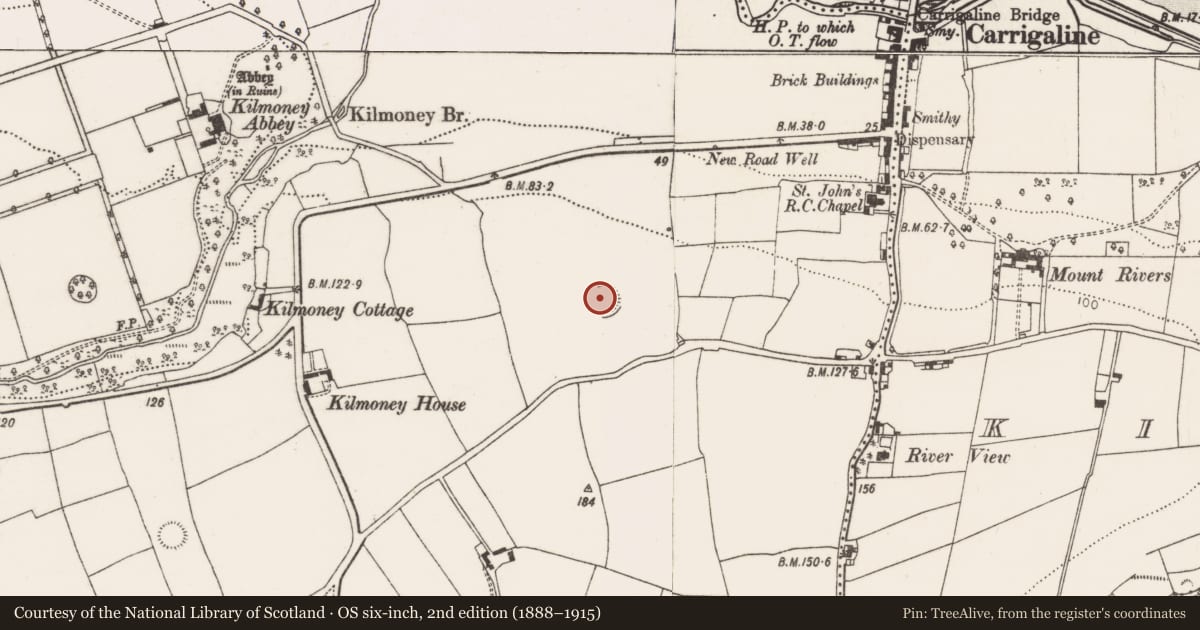Ordnance Survey six-inch map, 2nd edition (1888–1915) covering the location of Ringfort - rath, Kilmoney, County Cork, with a pin at the register's coordinates