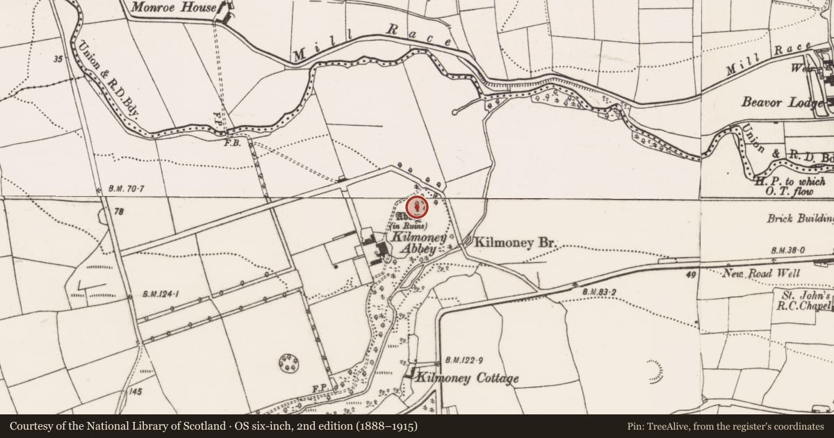 Ordnance Survey six-inch map, 2nd edition (1888–1915) covering the location of Religious house - Augustinian canons, Kilmoney, County Cork, with a pin at the register's coordinates