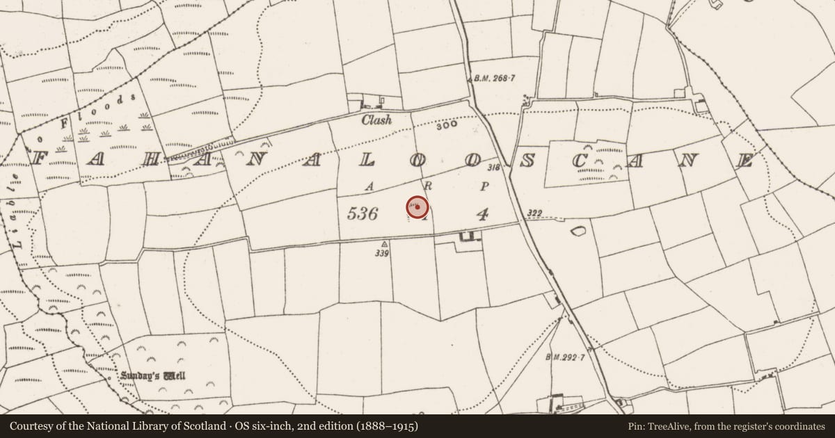 Ordnance Survey six-inch map, 2nd edition (1888–1915) covering the location of Enclosure, Fahanalooscane, County Cork, with a pin at the register's coordinates