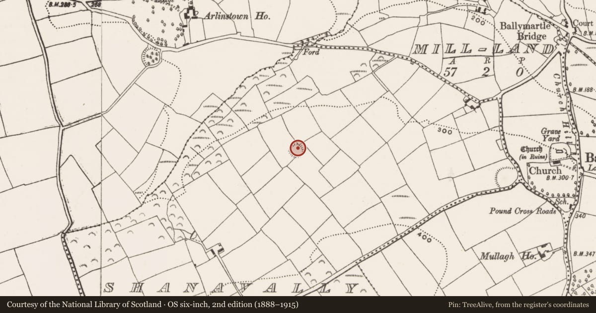 Ordnance Survey six-inch map, 2nd edition (1888–1915) covering the location of Ringfort - rath, Shanavally (Kinalea By., Ballymartle Par.), County Cork, with a pin at the register's coordinates