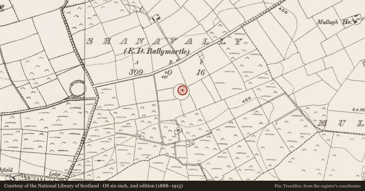 Ordnance Survey six-inch map, 2nd edition (1888–1915) covering the location of Ringfort - rath, Shanavally (Kinalea By., Ballymartle Par.), County Cork, with a pin at the register's coordinates