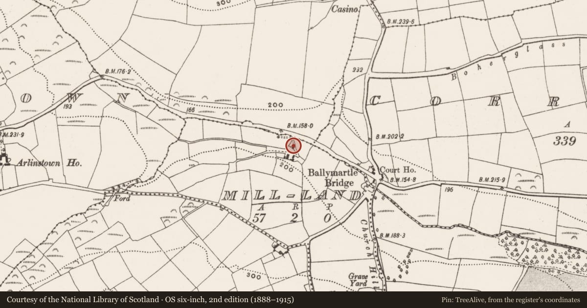Ordnance Survey six-inch map, 2nd edition (1888–1915) covering the location of Mill - fulling, Mill-Land, County Cork, with a pin at the register's coordinates