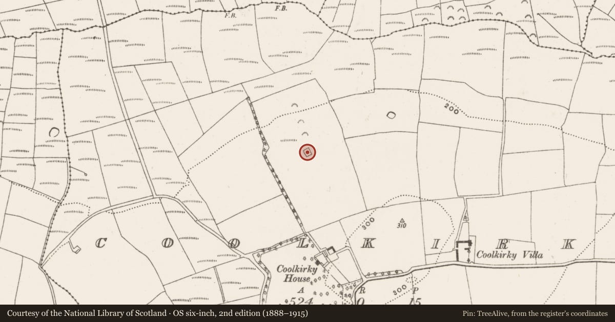 Ordnance Survey six-inch map, 2nd edition (1888–1915) covering the location of Graveyard, Coolkirky, County Cork, with a pin at the register's coordinates