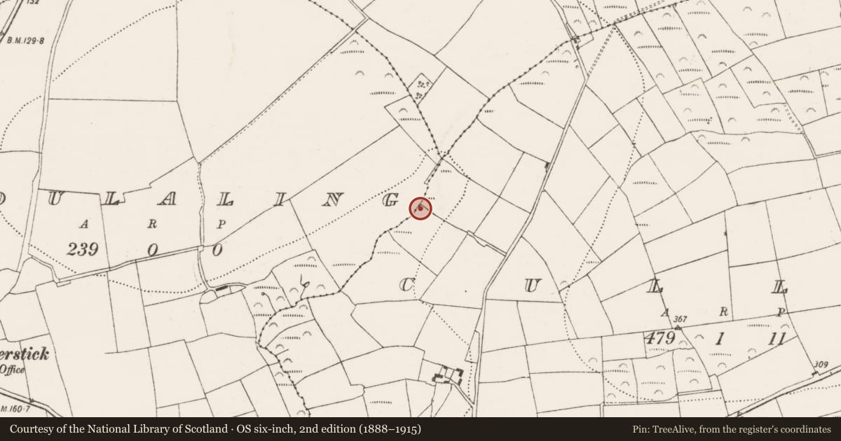 Ordnance Survey six-inch map, 2nd edition (1888–1915) covering the location of Fulacht fia, Cullen, County Cork, with a pin at the register's coordinates