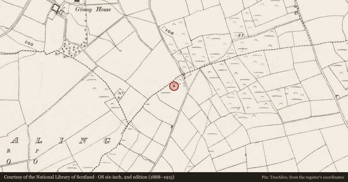 Ordnance Survey six-inch map, 2nd edition (1888–1915) covering the location of Fulacht fia, Cullen, County Cork, with a pin at the register's coordinates