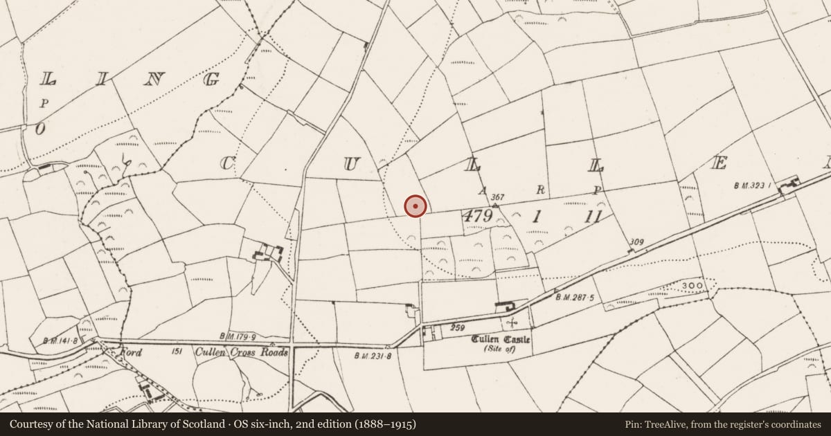 Ordnance Survey six-inch map, 2nd edition (1888–1915) covering the location of Enclosure, Cullen, County Cork, with a pin at the register's coordinates