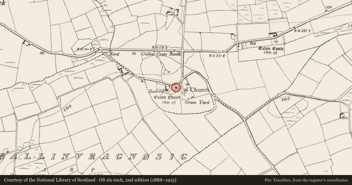 Ordnance Survey six-inch map, 2nd edition (1888–1915) covering the location of Ecclesiastical enclosure, Cullen, County Cork, with a pin at the register's coordinates