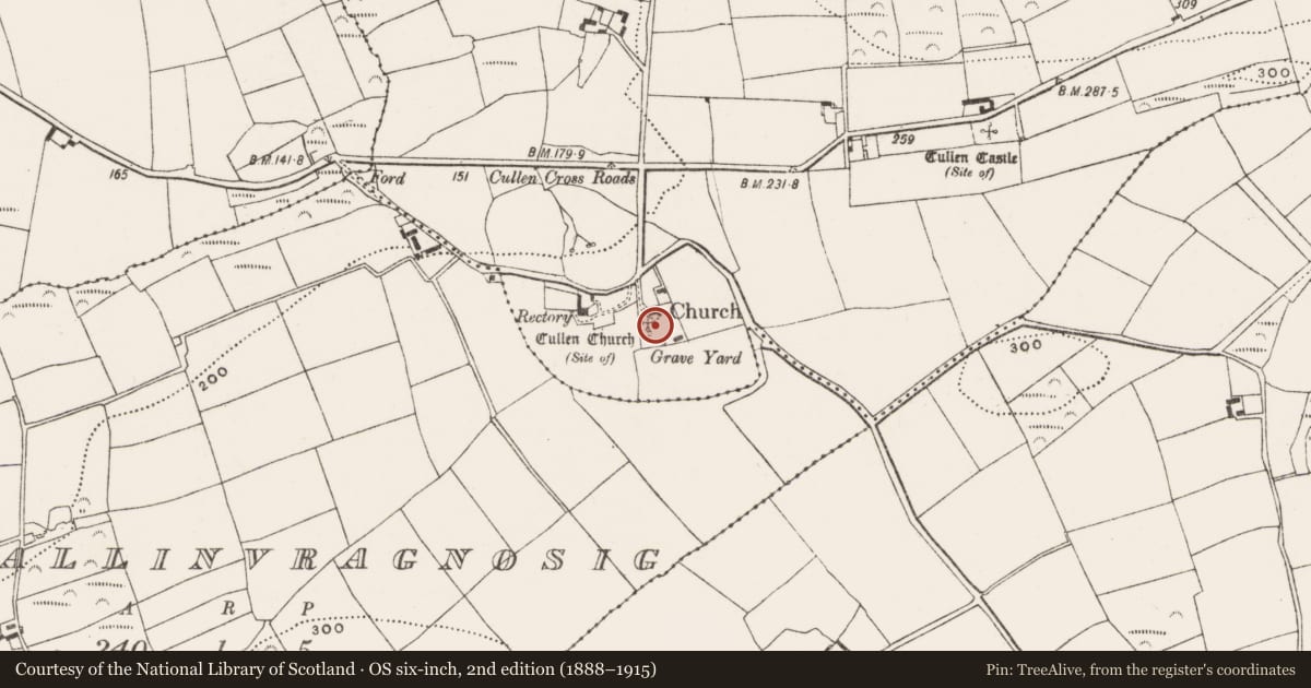 Ordnance Survey six-inch map, 2nd edition (1888–1915) covering the location of Graveyard, Cullen, County Cork, with a pin at the register's coordinates