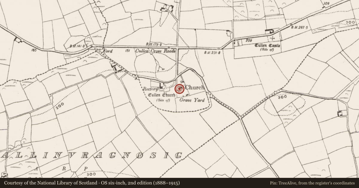 Ordnance Survey six-inch map, 2nd edition (1888–1915) covering the location of Church, Cullen, County Cork, with a pin at the register's coordinates
