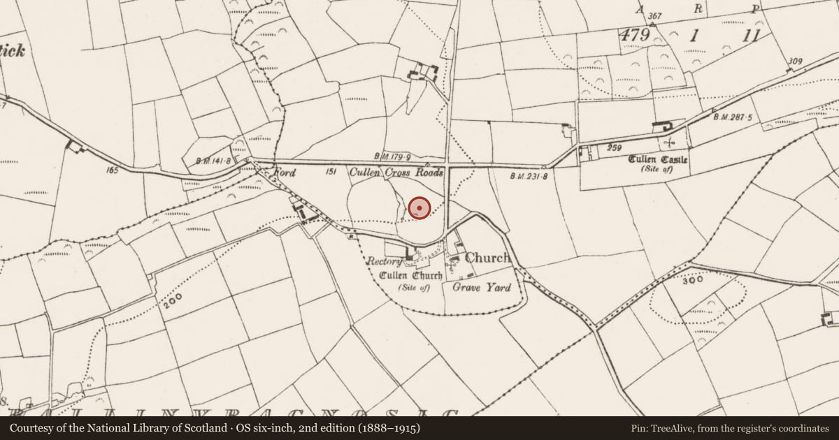 Ordnance Survey six-inch map, 2nd edition (1888–1915) covering the location of Burnt mound, Cullen, County Cork, with a pin at the register's coordinates