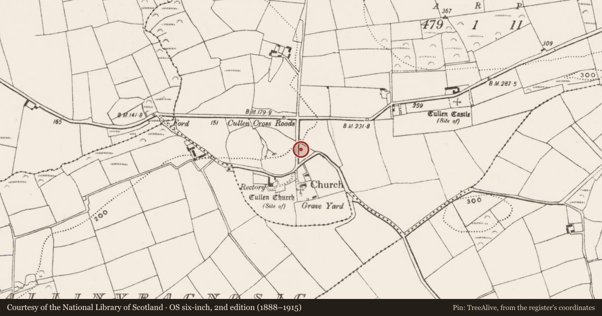 Ordnance Survey six-inch map, 2nd edition (1888–1915) covering the location of Metalworking site, Cullen, County Cork, with a pin at the register's coordinates