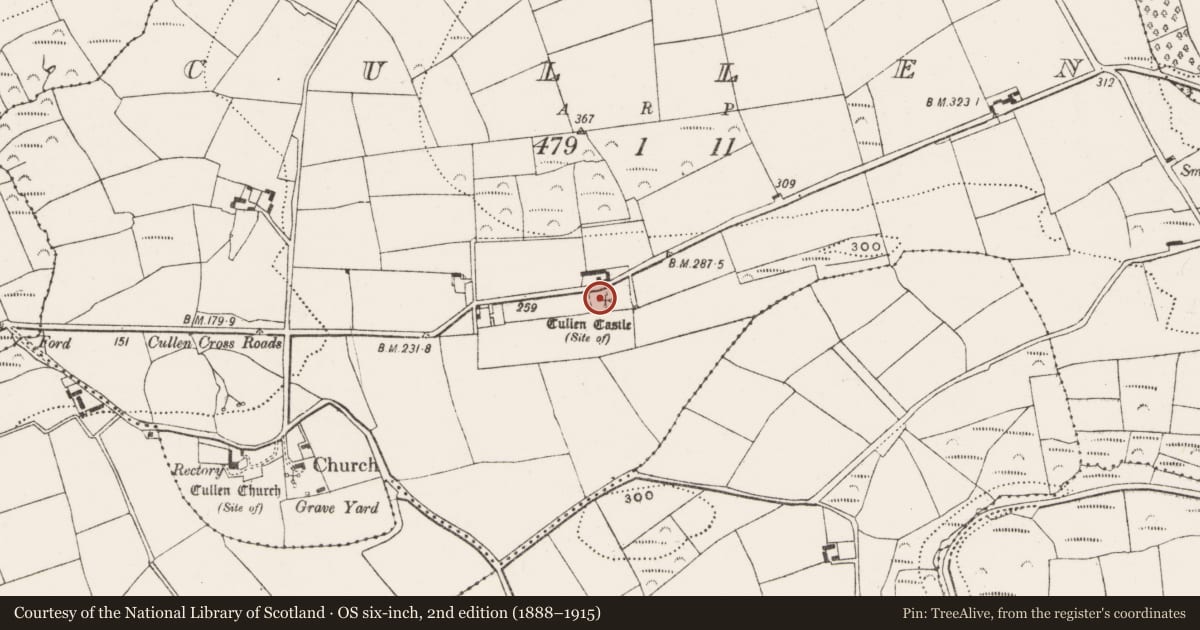 Ordnance Survey six-inch map, 2nd edition (1888–1915) covering the location of Castle - unclassified, Cullen, County Cork, with a pin at the register's coordinates