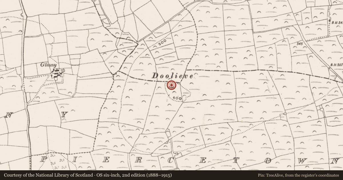 Ordnance Survey six-inch map, 2nd edition (1888–1915) covering the location of Cairn - unclassified, Piercetown, County Cork, with a pin at the register's coordinates