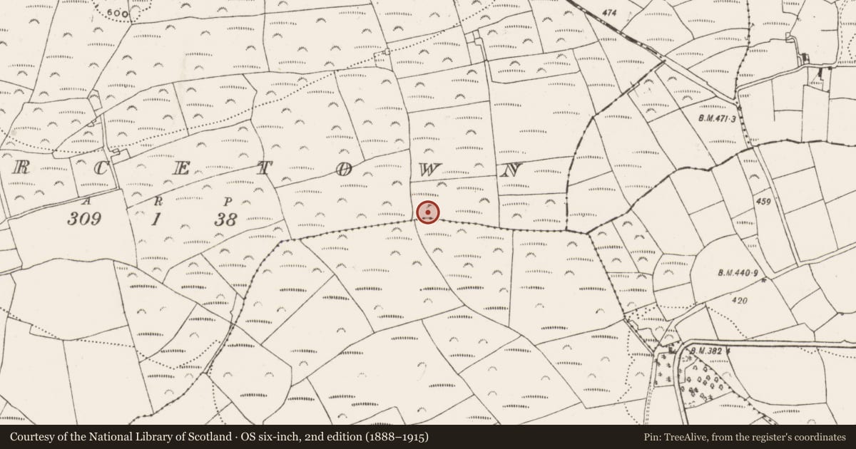Ordnance Survey six-inch map, 2nd edition (1888–1915) covering the location of Stone row, Piercetown, County Cork, with a pin at the register's coordinates